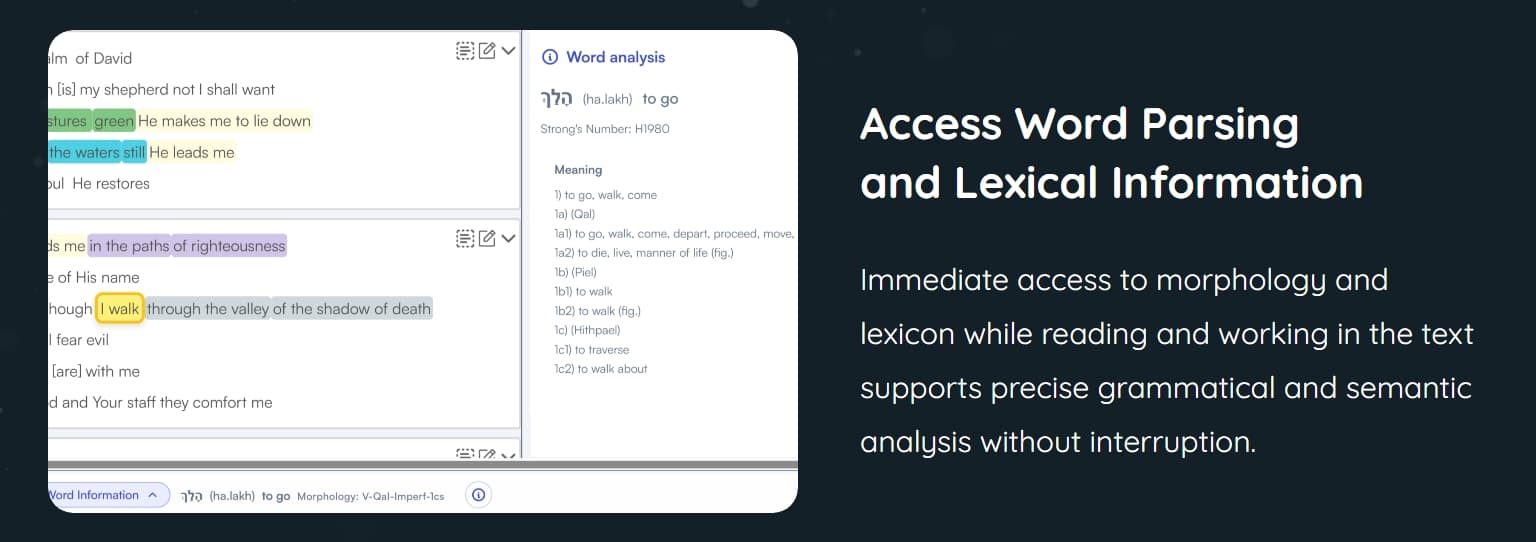 Access word parsing and lexical information
